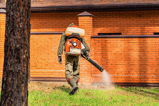 Bed Bug Clearance Verification and Documentation in Byram